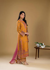 Kiran Embroidery  3Pc